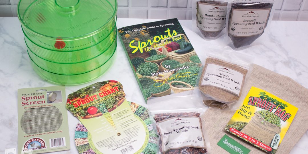 Overhead view of sprouting supplies and seeds for growing sprouts at home.