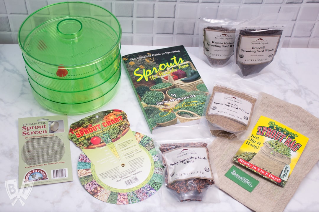 Overhead view of sprouting supplies and seeds for growing sprouts at home.