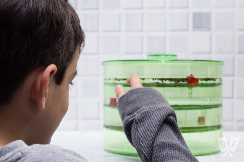 Side view of a child observing a vertical sprouting canister kit full of seeds and water.