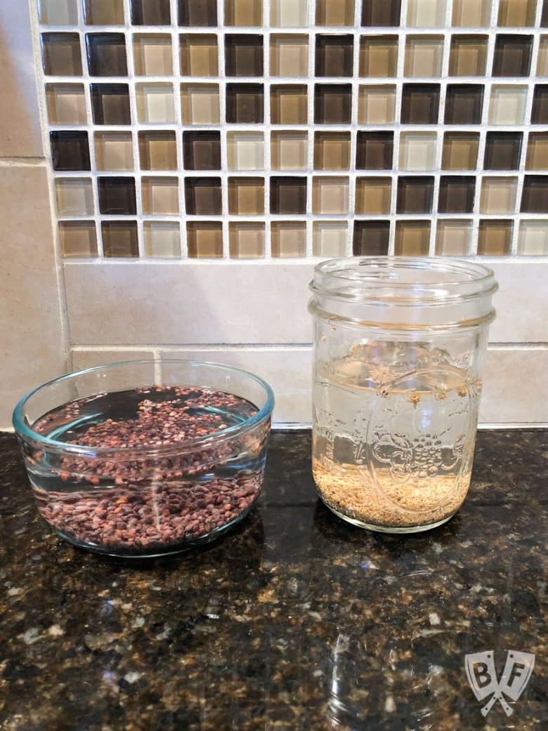 Side view of 2 jars of sprouting seeds soaking in water.