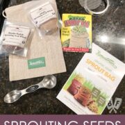 Overhead view of seed sprouting supplies.