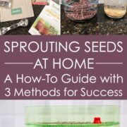Assortment of seed sprouting supplies.