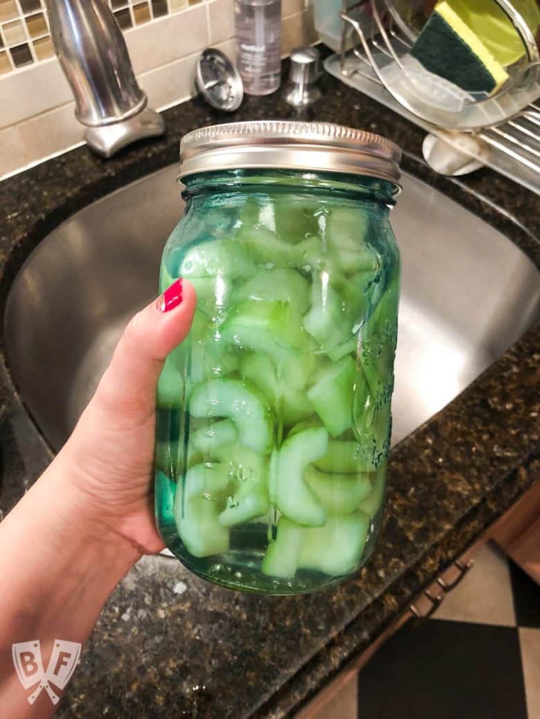 Hand holding a jar of cucumber-infused vodka.