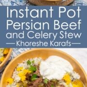 Overhead view of 2 bowls of Instant Pot Persian Beef and Celery Stew (Khoreshe Karafs) over dill rice next to an Instant Pot.