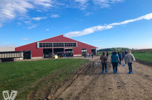 Group of food bloggers walking up to Ivy Lakes Farm in Stanley, NY.
