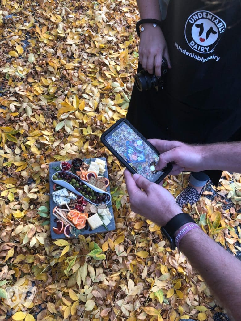 Cheese board among autumn leaves with a person taking a photo of it.