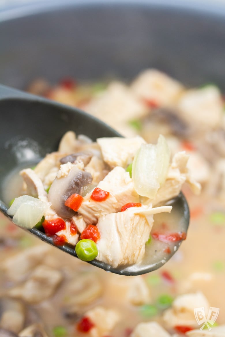 Spoonful of chicken a la king.