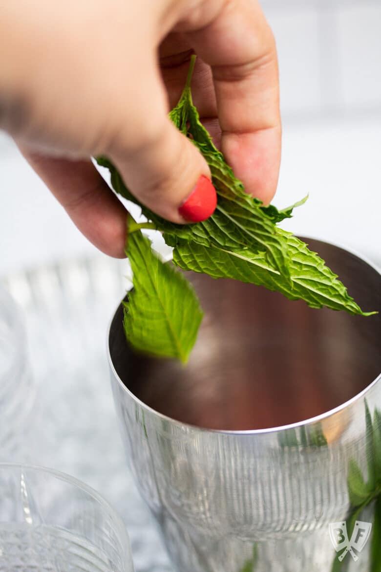 Adding mint leaves to a cocktail shaker.