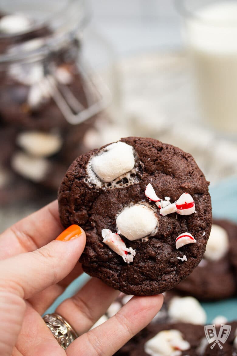 Hand holding a peppermint hot chocolate cookie.