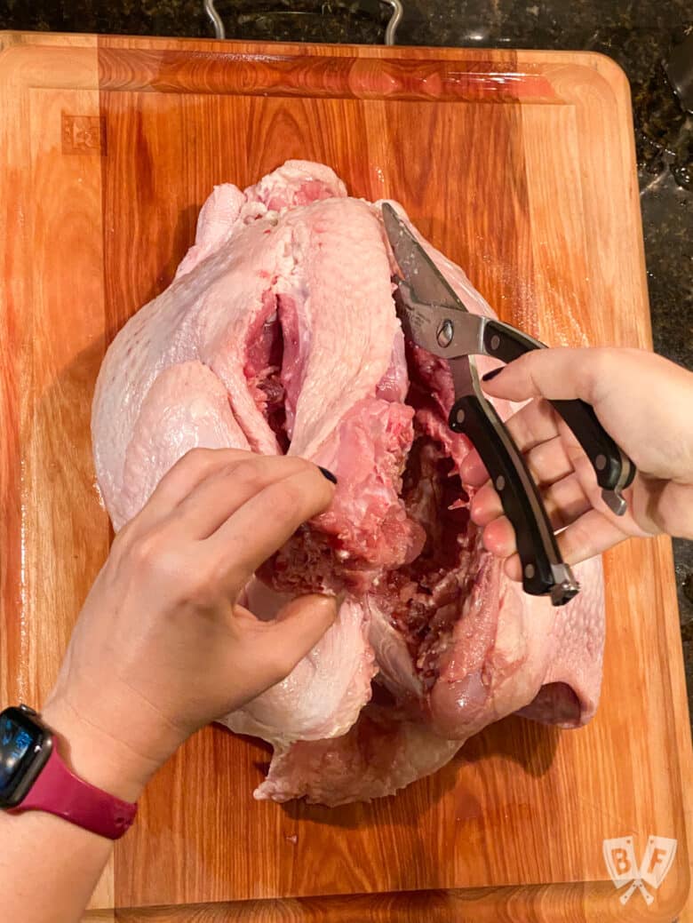 Cutting the backbone of a turkey with poultry shears.