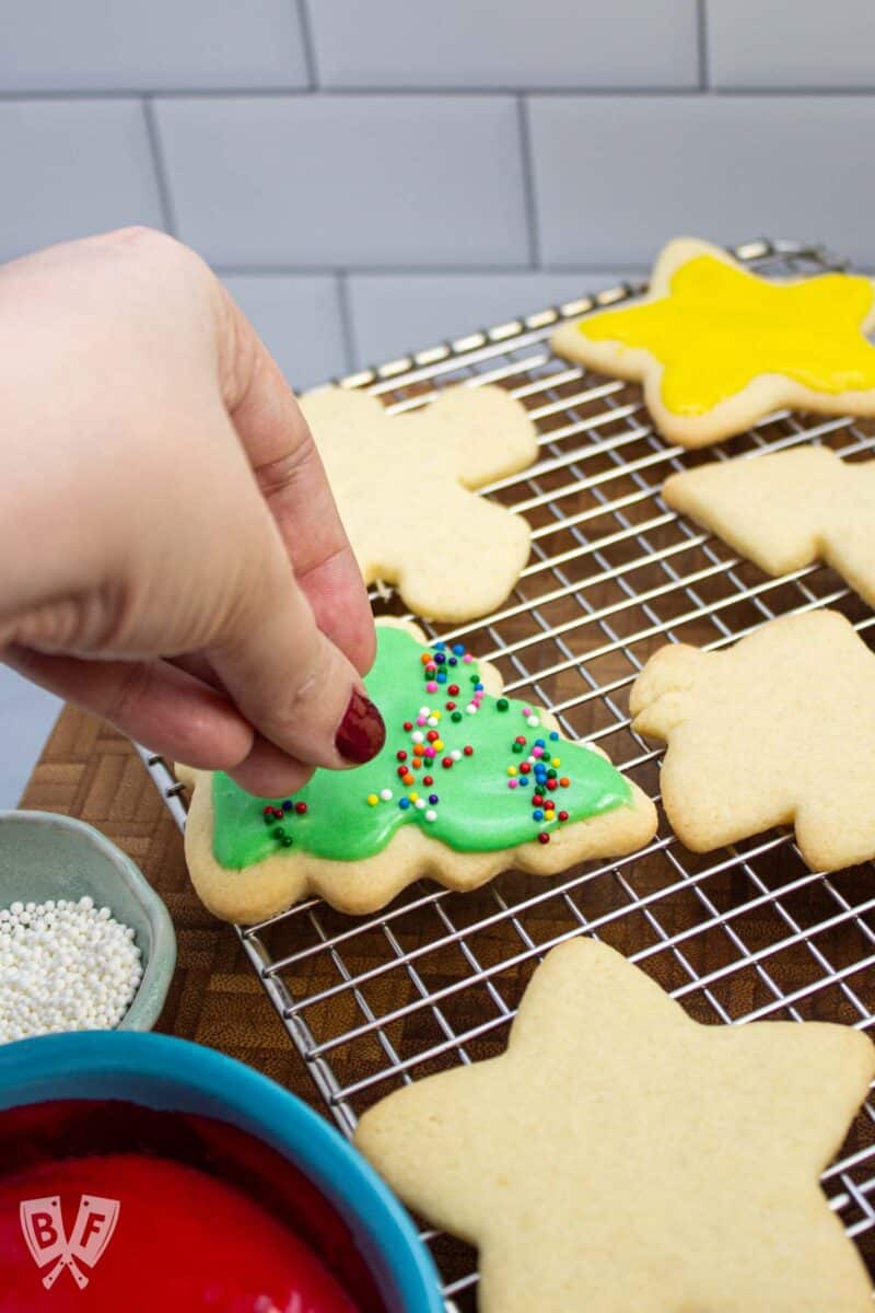 Adding sprinkles to a green iced Christmas tree-shaped cookie.