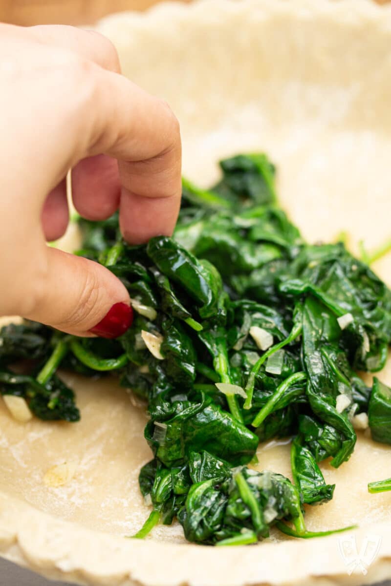 Adding sautéed spinach to an uncooked pie crust.