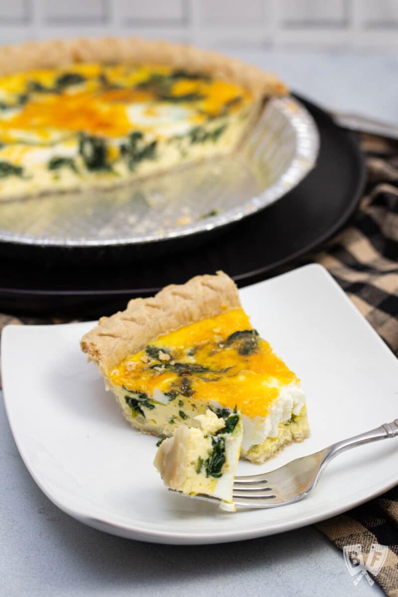 Slice of spinach and cheddar quiche with a bite on a fork.