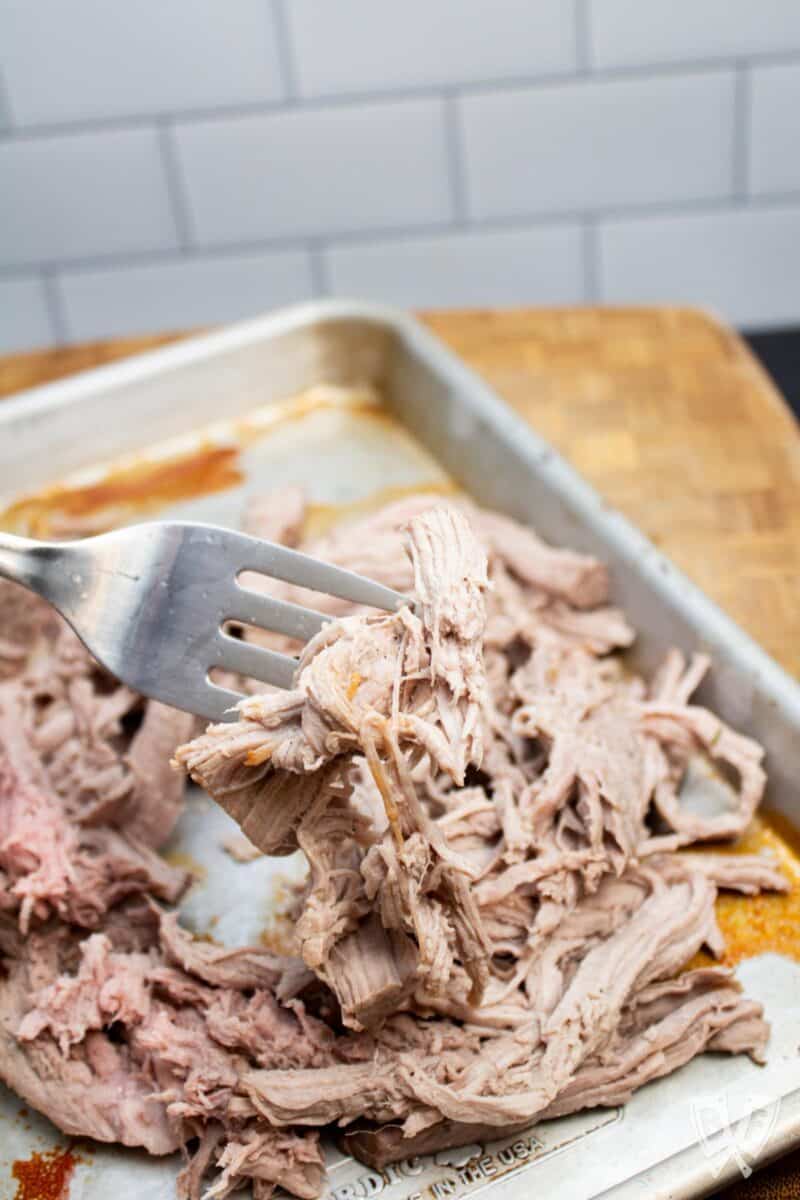 Fork shredding pork tenderloin on a sheet pan.